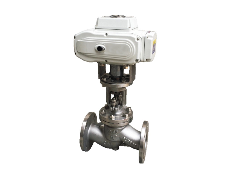 Globe Valve