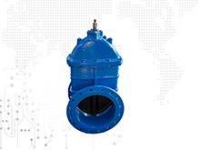 ANSI Cast Iron gate valve