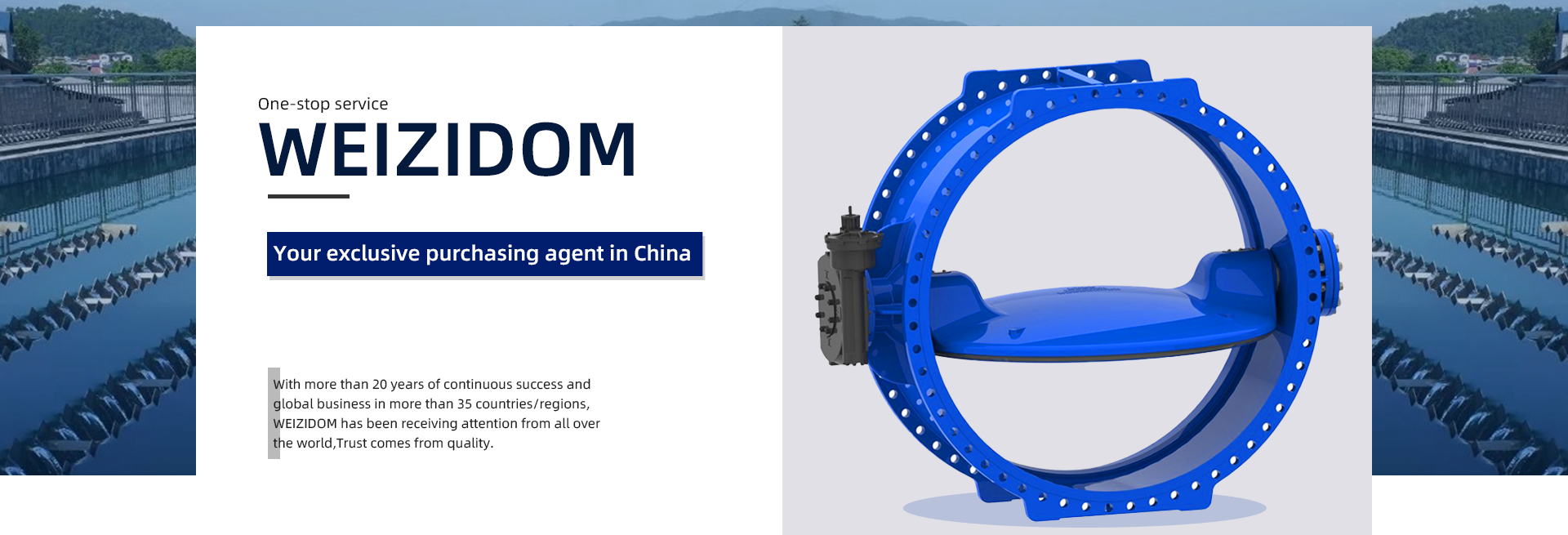 butterfly valve wesdom