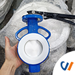 Why are fluorine-lined butterfly valves so popular?
