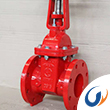 Features of fire gate valve