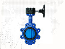 Worm gear operated lug butterfly valve